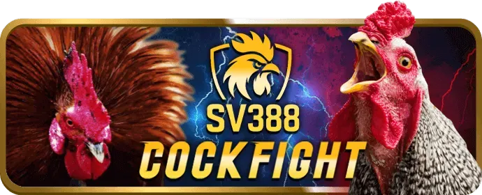 Đá gà trực tuyến Kubet777